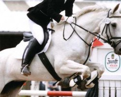 horse Atlanta P 2 (Hanoverian, 1996, from Athletico)