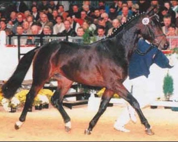 stallion Refurstinels (Oldenburg, 2000, from Rubinels)