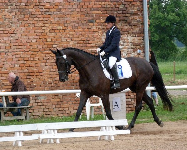 broodmare Bosorka (Czech Warmblood, 2006, from Refurstinels)