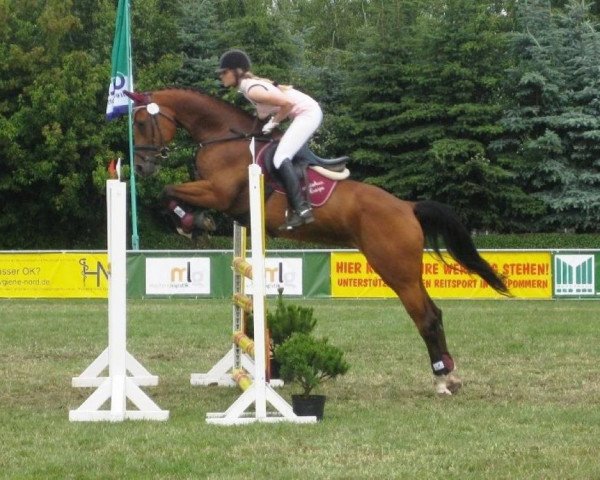 broodmare Cariosa Lady (Oldenburg show jumper, 2004, from Sandro Boy)