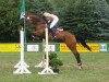 broodmare Cariosa Lady (Oldenburg show jumper, 2004, from Sandro Boy)