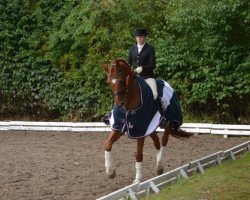 dressage horse Gentleman 199 (Hanoverian, 2001, from Goodman)