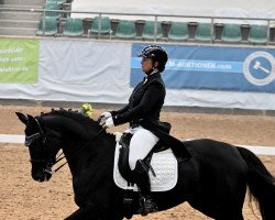 dressage horse Doreen 263 (Westphalian, 2005, from Don Primero)