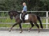 dressage horse Saint Maurice (Hanoverian, 1999, from Saint Cloud)