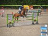 jumper Marie (German Sport Horse, 2008, from Charilan)