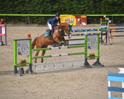 jumper Marie (German Sport Horse, 2008, from Charilan)