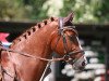 jumper Lapithos (Little German Riding Horse, 2002, from Linolando)