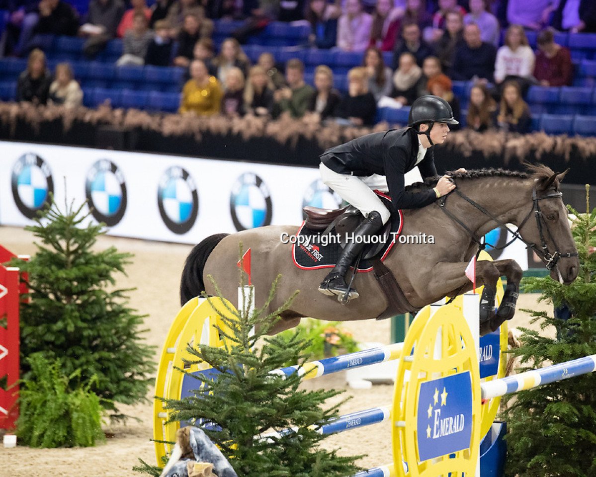 Springpferd Little Smithe (Irish Sport Horse, 2010)