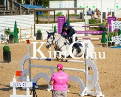 jumper Kee Pearl (Connemara Pony, 2007)