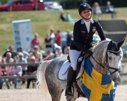 jumper Sligo Fortunus (Irish Sport Horse, 2007)