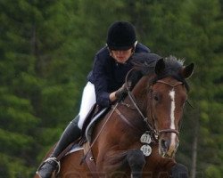 Springpferd Monthy Marco (Schwedisches Warmblut, 2001, von Mummy's Marco)