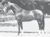 stallion Realist (Westphalian, 1965, from Radetzky)