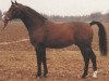 stallion Goldrian (Hanoverian, 1977, from Goldstern)