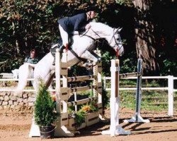 stallion Prinz Romadour (Rhinelander, 1989, from Prinz Oldenburg)