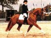 stallion Lanio (Hanoverian, 1986, from Lanthan)