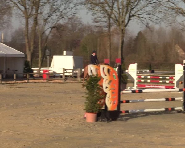 Münster-Handorf | Late Entries Frühlingserwachen 2022