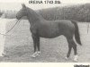 broodmare Ireina (KWPN (Royal Dutch Sporthorse), 1967, from Artilleur)
