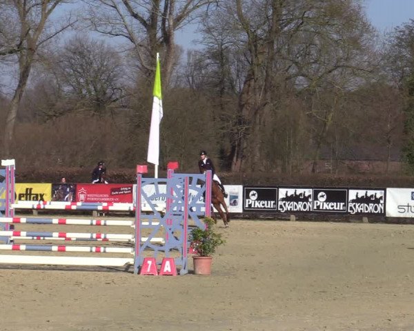 Münster-Handorf | Late Entries Frühlingserwachen 2022