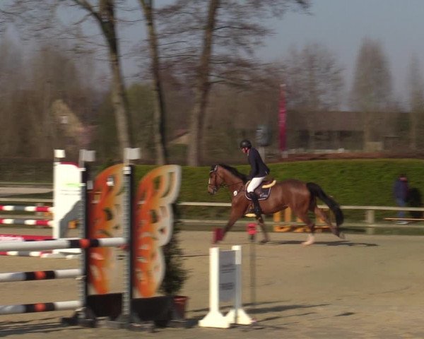 Münster-Handorf | Late Entries Frühlingserwachen 2022