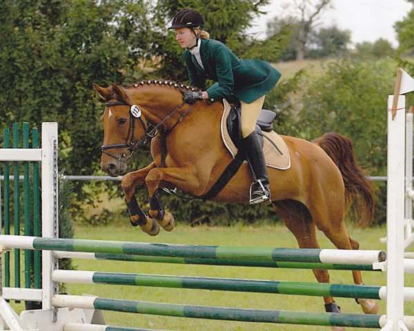 horse Final Destination (Hessian Warmblood, 1996, from Fuego)