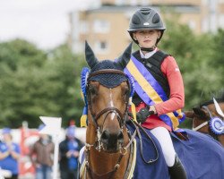 jumper Titanic VDL (KWPN (Royal Dutch Sporthorse), 2000, from Neckar)