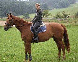 broodmare Rosenrot (Rhinelander, 2000, from Rosenkoenig)