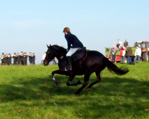 broodmare Madrina xx (Thoroughbred, 1996, from Super Abound xx)