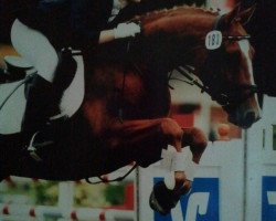 horse Grace 221 (Hanoverian, 1996, from Grand Cru)