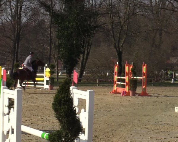 Münster-Handorf | Late Entries Frühlingserwachen 2022