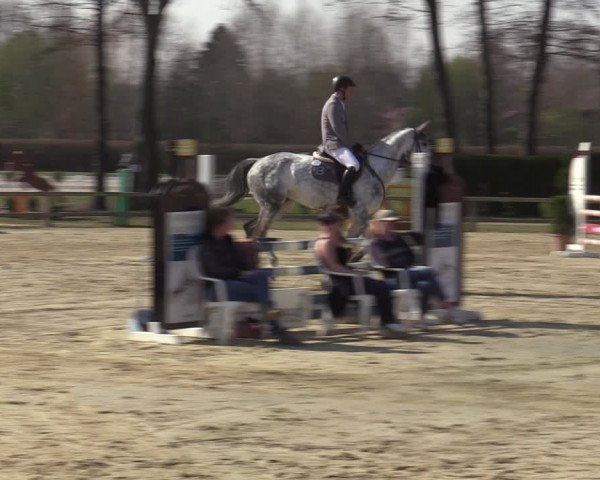 Münster-Handorf | Late Entries Frühlingserwachen 2022