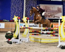 jumper Lunica 2 (Oldenburg show jumper, 2009, from Ludwigs As)