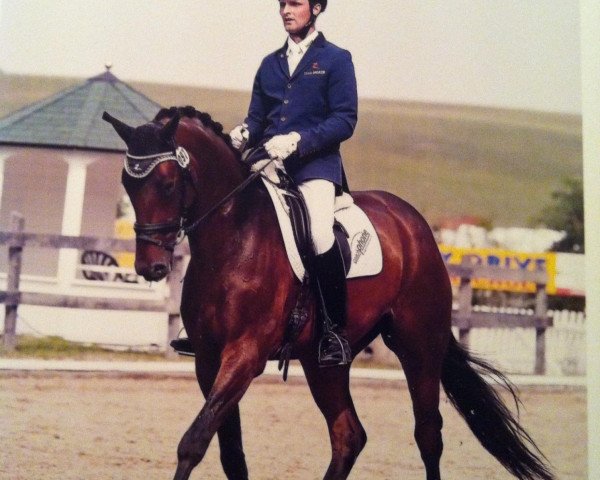 dressage horse Herzzauber 3 (Hanoverian, 2007, from Hotline)