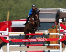 jumper Barrado Jk (Westphalian, 2007, from Baloubet du Rouet)