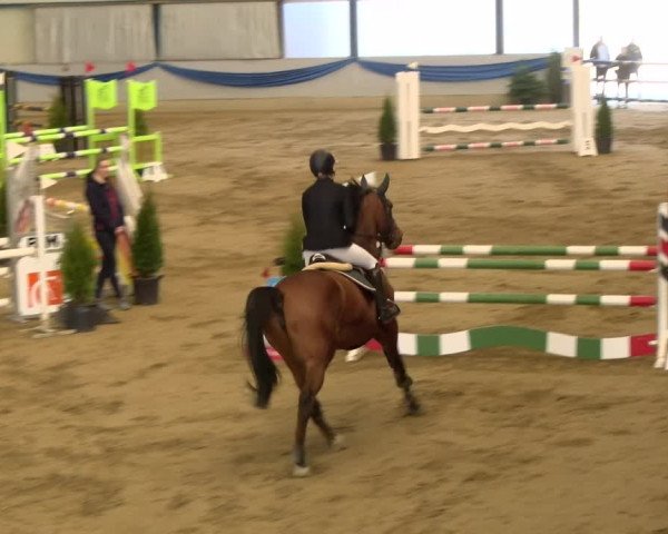 Reitturnier Buchs 2022