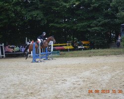 broodmare Bonieta (New Forest Pony, 1997, from Duke's Forest Oberon)