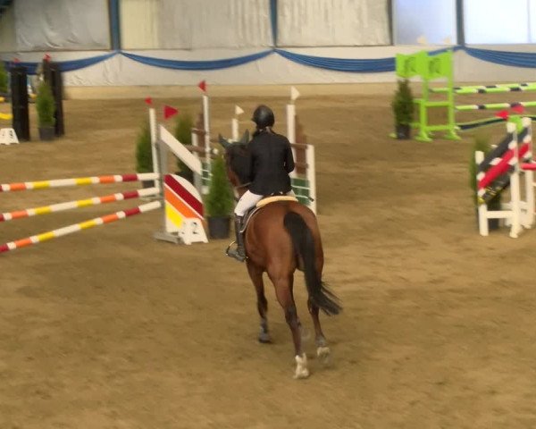 Reitturnier Buchs 2022