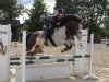 jumper Vidalgo 5 (German Riding Pony, 2007, from Vincent)