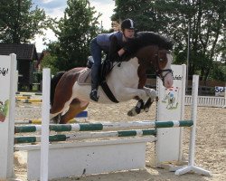 jumper Vidalgo 5 (German Riding Pony, 2007, from Vincent)