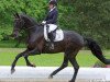 dressage horse High Point 2 (Oldenburg, 2008, from Hotline)