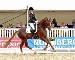 dressage horse Don Hitmeyer (Hanoverian, 2008, from Diamond Hit)