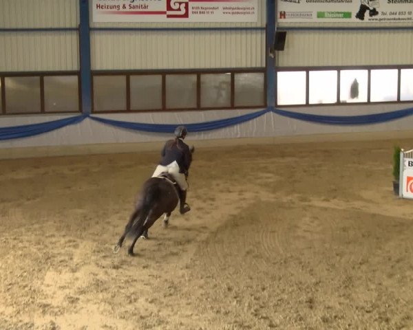 Reitturnier Buchs 2022