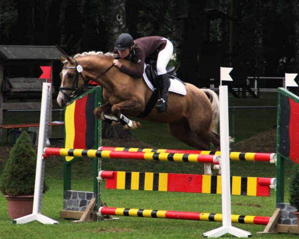 jumper Vrenelli Gold (German Riding Pony, 2009, from Vincent)