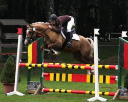 Springpferd Vrenelli Gold (Deutsches Reitpony, 2009, von Vincent)