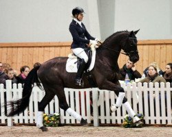 dressage horse Lord Wallonia (Rhinelander, 2007, from Lord Loxley I)