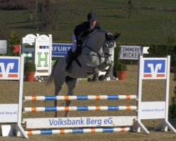 broodmare Cookie Blue 3 (Oldenburg show jumper, 2017, from Chacoon Blue)