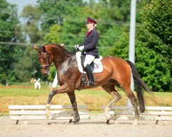 dressage horse DSP Herzensfürst (German Sport Horse, 2007, from Herzensdieb)