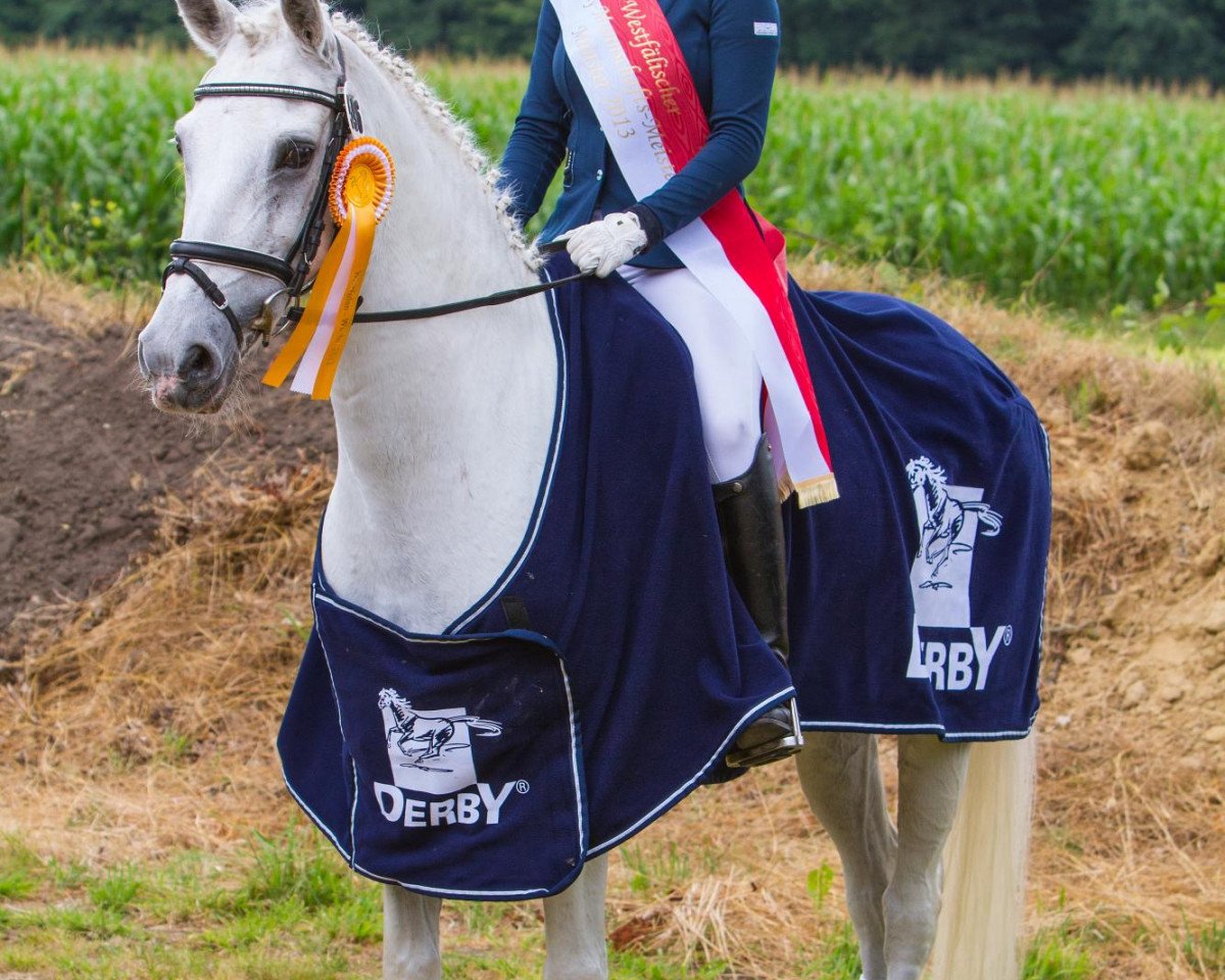 dressage horse Nesquick (German Riding Pony, 1996, from Nedo I)
