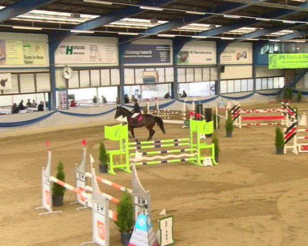 Reitturnier Buchs 2022
