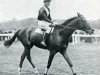 Pferd Massine xx (Englisches Vollblut, 1920, von Consols xx)