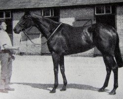 broodmare Ma Marie xx (Thoroughbred, 1956, from My Babu xx)